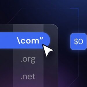 Basic Website Hosting (Copy) (Copy)